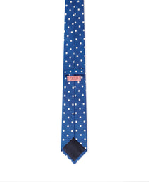 Blue & White Polka Dot Silk Woven Tie